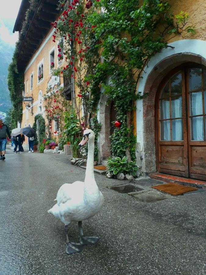 Braeugasthof Hallstatt Luaran gambar